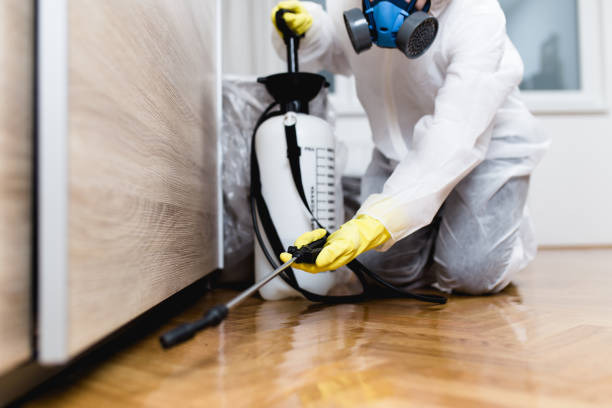 Best Pest Removal Services  in Woodcliff Lake, NJ