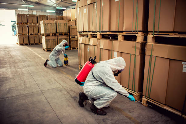 Best Local Pest Control Services  in Woodcliff Lake, NJ