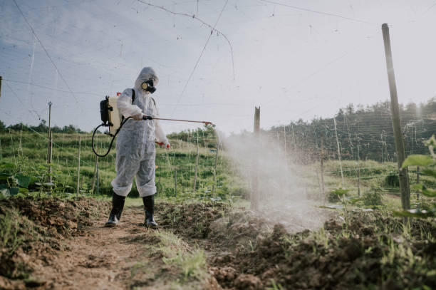 Best Mosquito Control Services  in Woodcliff Lake, NJ