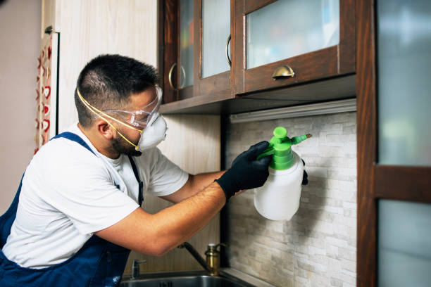Best Wasp Removal Services  in Woodcliff Lake, NJ