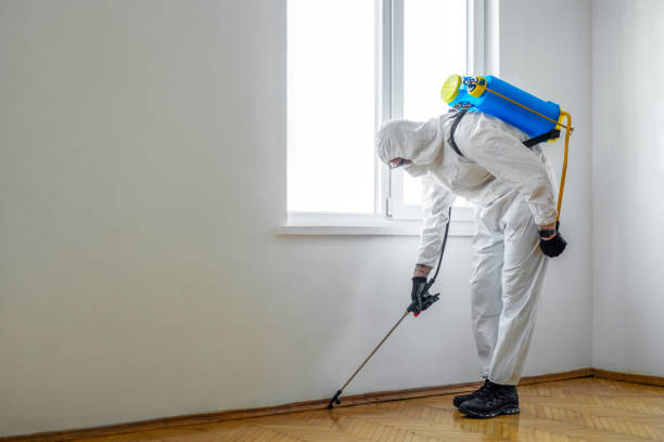Best Pest Inspection Near Me  in Woodcliff Lake, NJ