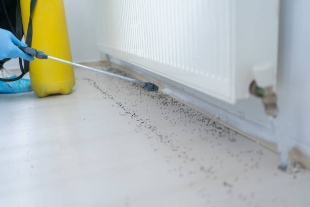 Best Pest Prevention Services  in Woodcliff Lake, NJ