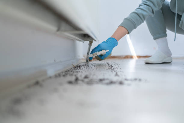 Best Rat Extermination Near Me  in Woodcliff Lake, NJ