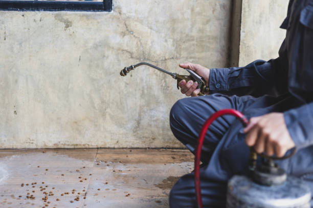 Pest Prevention Services in Woodcliff Lake, NJ